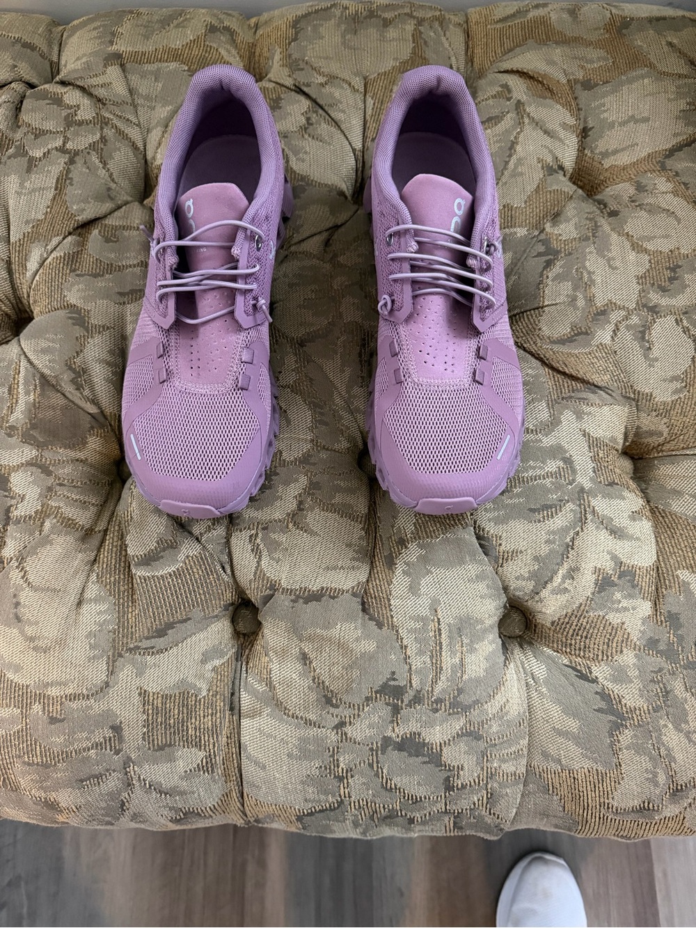 On cloud 5 women’s Fig Colored Schwartz